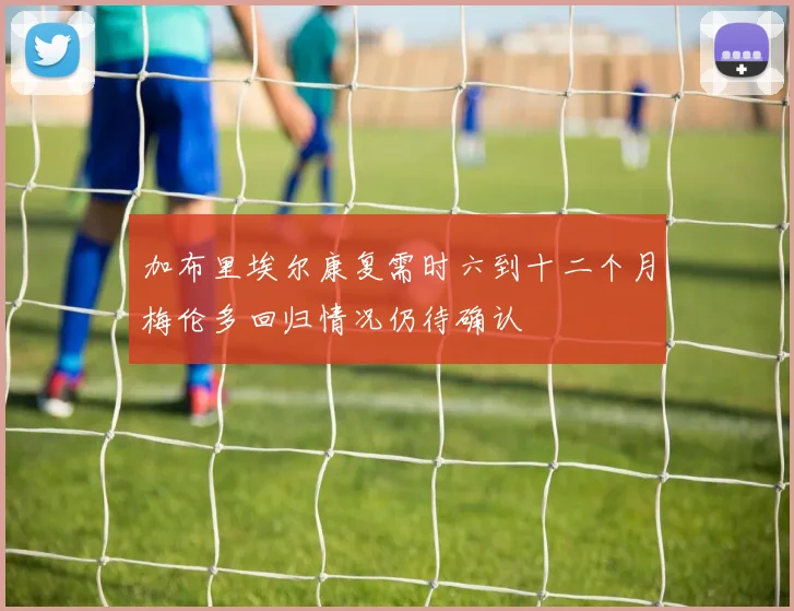 加布里埃尔康复需时六到十二个月梅伦多回归情况仍待确认